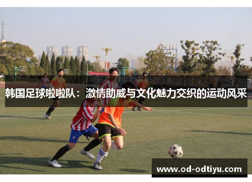韩国足球啦啦队：激情助威与文化魅力交织的运动风采