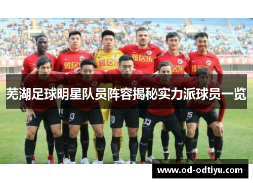 芜湖足球明星队员阵容揭秘实力派球员一览