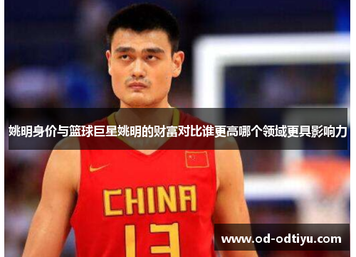 姚明身价与篮球巨星姚明的财富对比谁更高哪个领域更具影响力