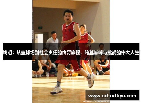 姚明：从篮球场到社会责任的传奇旅程，跨越巅峰与挑战的伟大人生