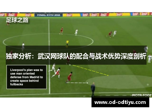 独家分析：武汉网球队的配合与战术优势深度剖析