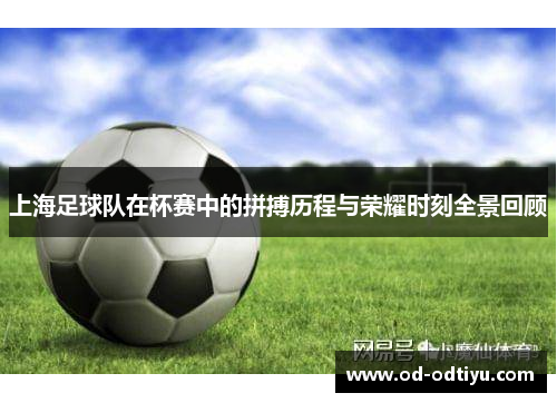 上海足球队在杯赛中的拼搏历程与荣耀时刻全景回顾