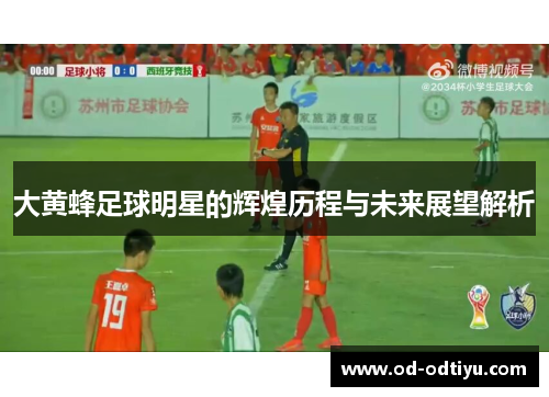 大黄蜂足球明星的辉煌历程与未来展望解析